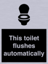 this-toilet-flushes-automatically~